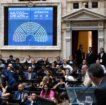 Menem confirmó hasta cuándo serán las sesiones extraordinarias: objetivos del gobierno