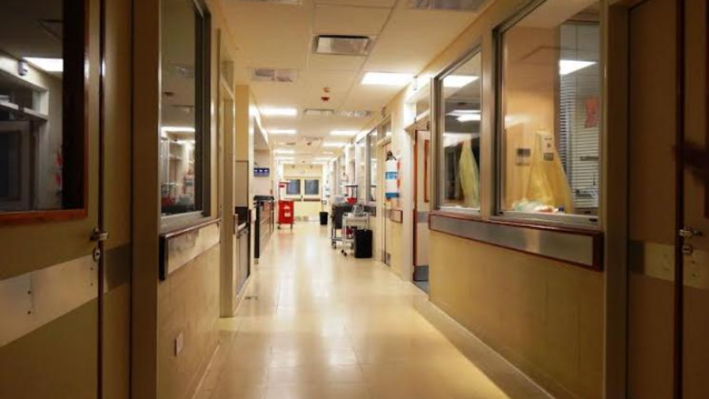 Récord de sífilis en Argentina: el 28% de los varones vuelve a contagiarse