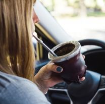 Te puede salir car&iacute;simo: cu&aacute;nto cobran por manejar tomando mate