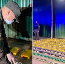 Megaoperativo en Salta: incautaron 431 kilos de droga en el marco del Plan Güemes