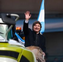 Bajo el Gobierno de Milei, proyectan un r&eacute;cord hist&oacute;rico en producci&oacute;n de trigo