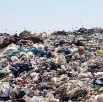 Rescataron a un niño de 14 años que vivía en un basural: los dolorosos detalles