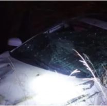 Un joven de 24 a&ntilde;os muri&oacute; tras chocar contra un remolque en plena ruta