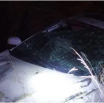 Un joven de 24 años murió tras chocar contra un remolque en plena ruta