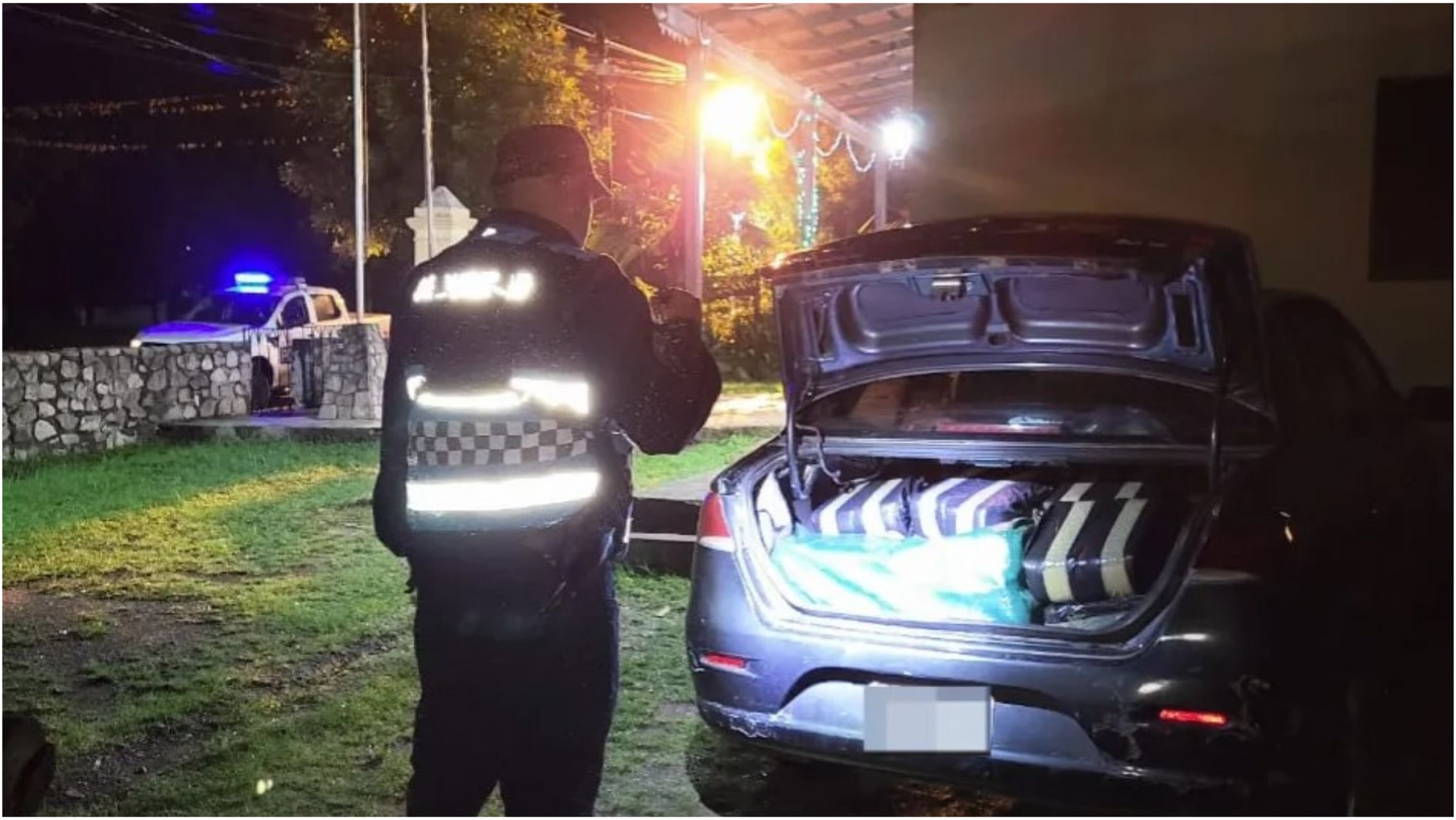 Secuestraron más de 50 kilos de hojas de coca en un control