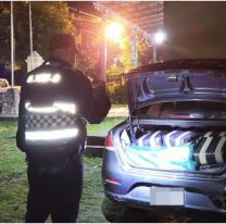 Secuestraron más de 50 kilos de hojas de coca en un control