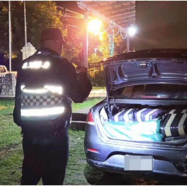 Secuestraron más de 50 kilos de hojas de coca en un control