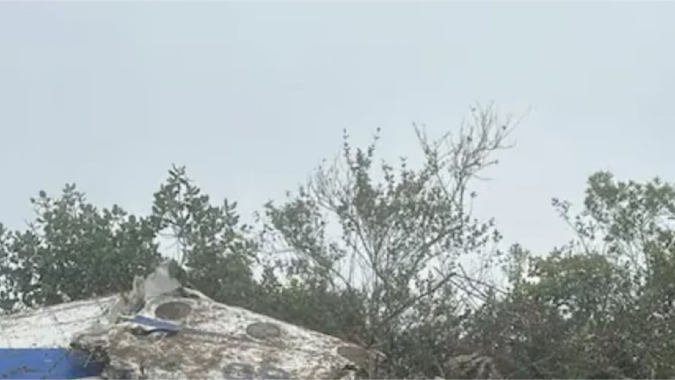 Tragedia aérea: murieron las 15 personas que viajaban en el avión