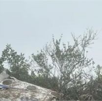 Tragedia a&eacute;rea: murieron las 15 personas que viajaban en el avi&oacute;n