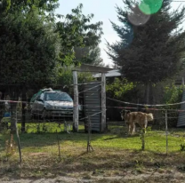 El llamado al 911 que terminó con la detención de un hombre por femicidio