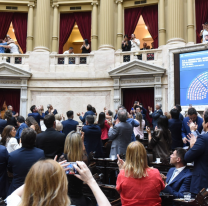 Diputados dio media sanci&oacute;n para bajar la imputabilidad a 14 a&ntilde;os