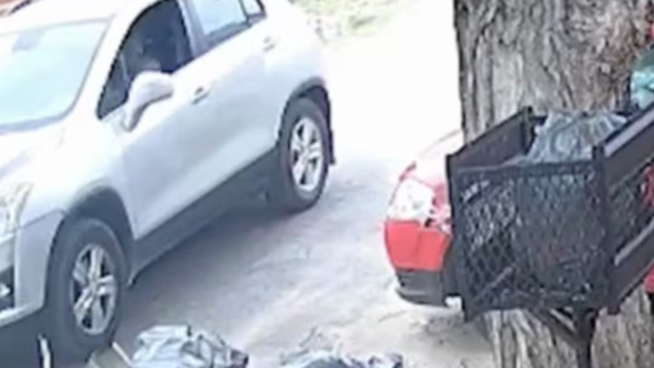 Habló la madre de los chicos a los que un extraño les ofreció caramelos: "Vivo..."