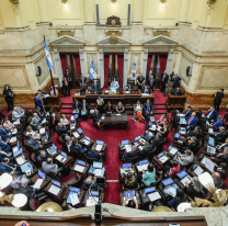 Aprobaron la baja de la edad de imputabilidad a 14 a&ntilde;os