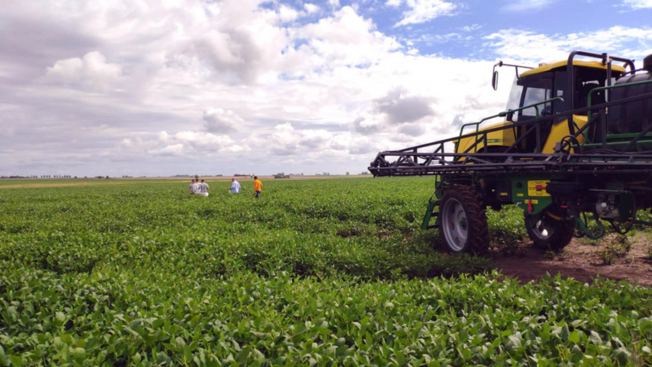 La presión impositiva sobre el agro subió al 62,5% y vuelve a golpear la rentabilidad del campo