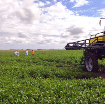 La presión impositiva sobre el agro subió al 62,5% y vuelve a golpear la rentabilidad del campo