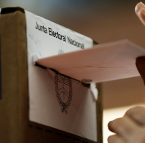 El oficialismo admite que no tiene los votos para eliminar las PASO