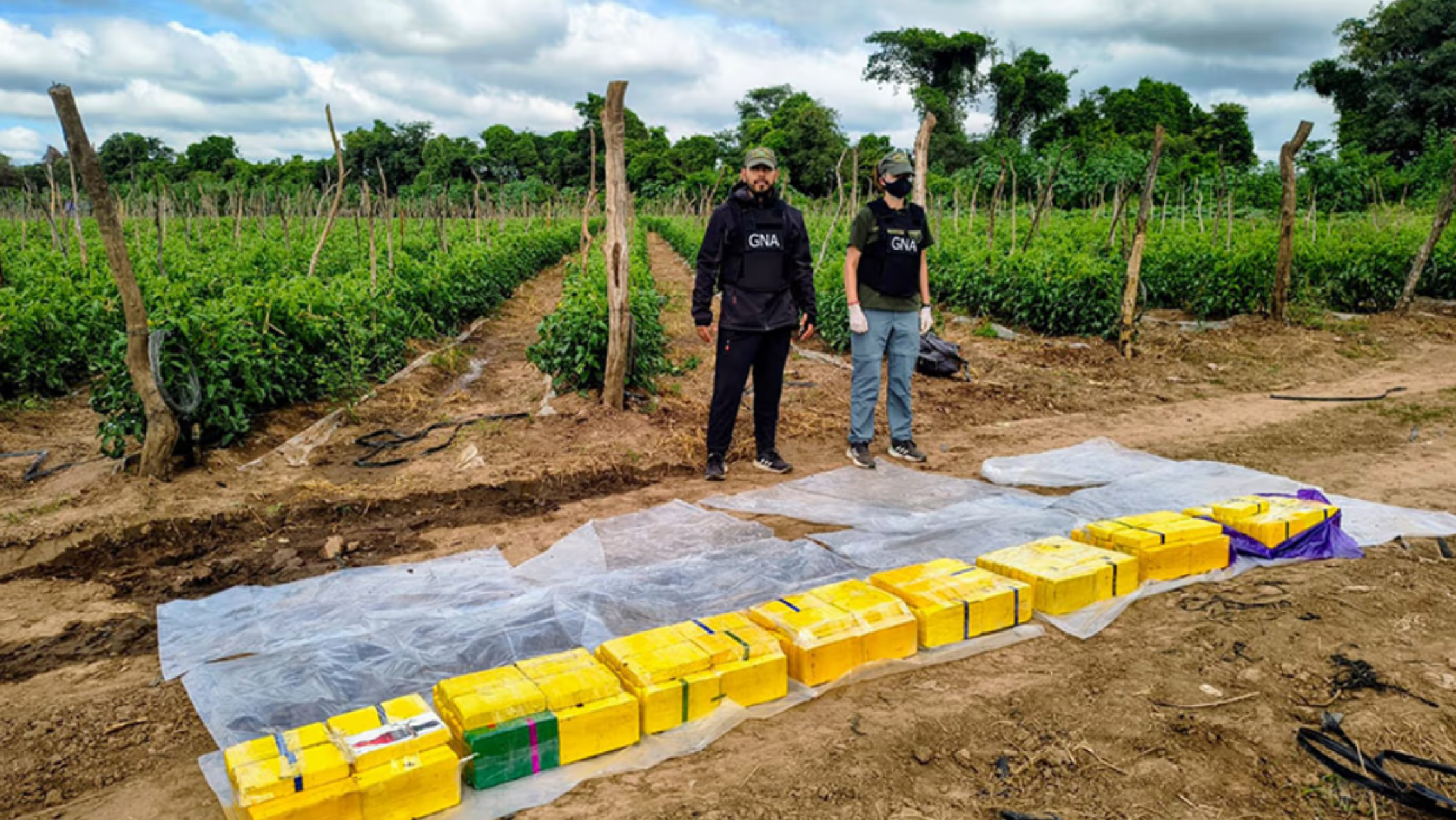 Cayeron los jefes de la banda narco que ocultaba cocaína en fincas alquiladas del norte salteño