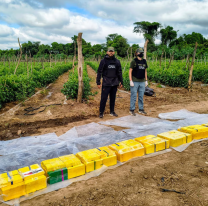 Cayeron los jefes de la banda narco que ocultaba coca&iacute;na en fincas alquiladas del norte salte&ntilde;o