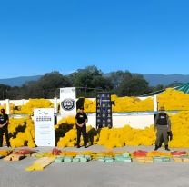 Camión salió de Salta con limones, pero escondía más de 150 kilos de droga