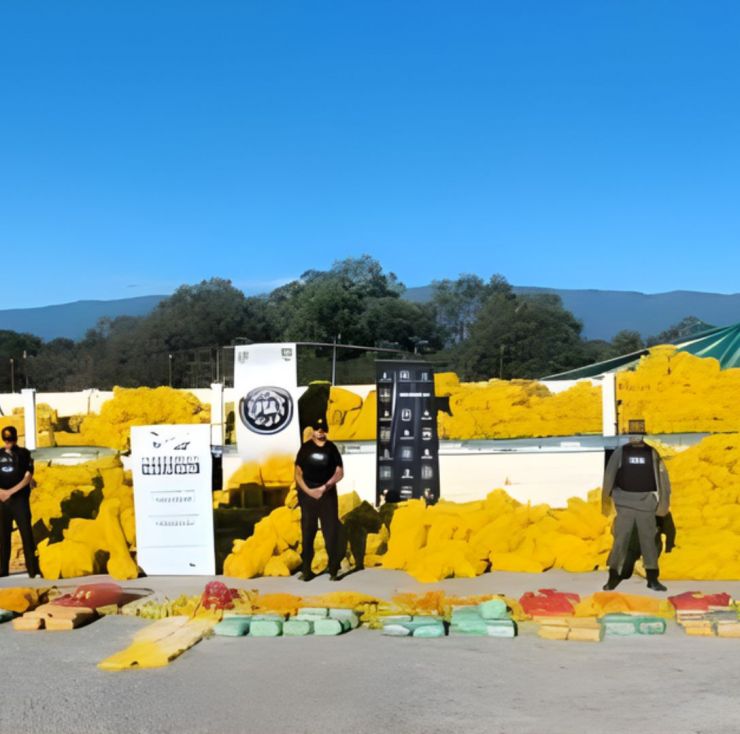 Camión salió de Salta con limones, pero escondía más de 150 kilos de droga