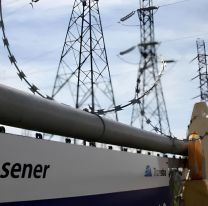 Milei avanza con las privatizaciones y logró una millonaria venta de Transener