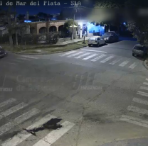 Persecución de película: así fue el robo de la camioneta en pleno centro de Salta