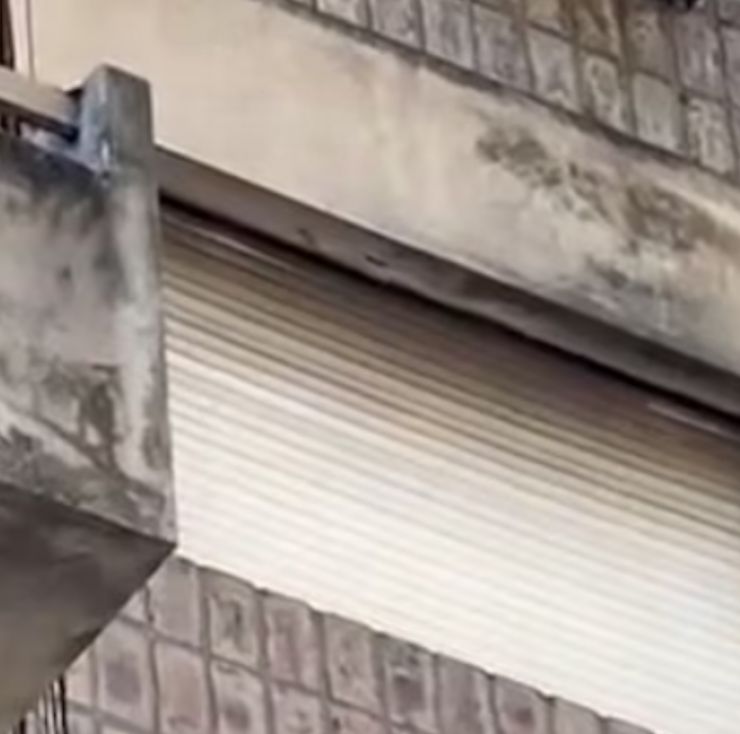 Se desplomó desde un cuarto piso y el capot de un patrullero le salvó la vida