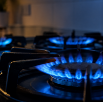 Diputados dio media sanción al recorte de subsidios al gas