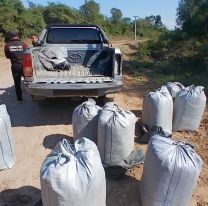 Cay&oacute; una camioneta cargada con 160 kilos de coca en Salta