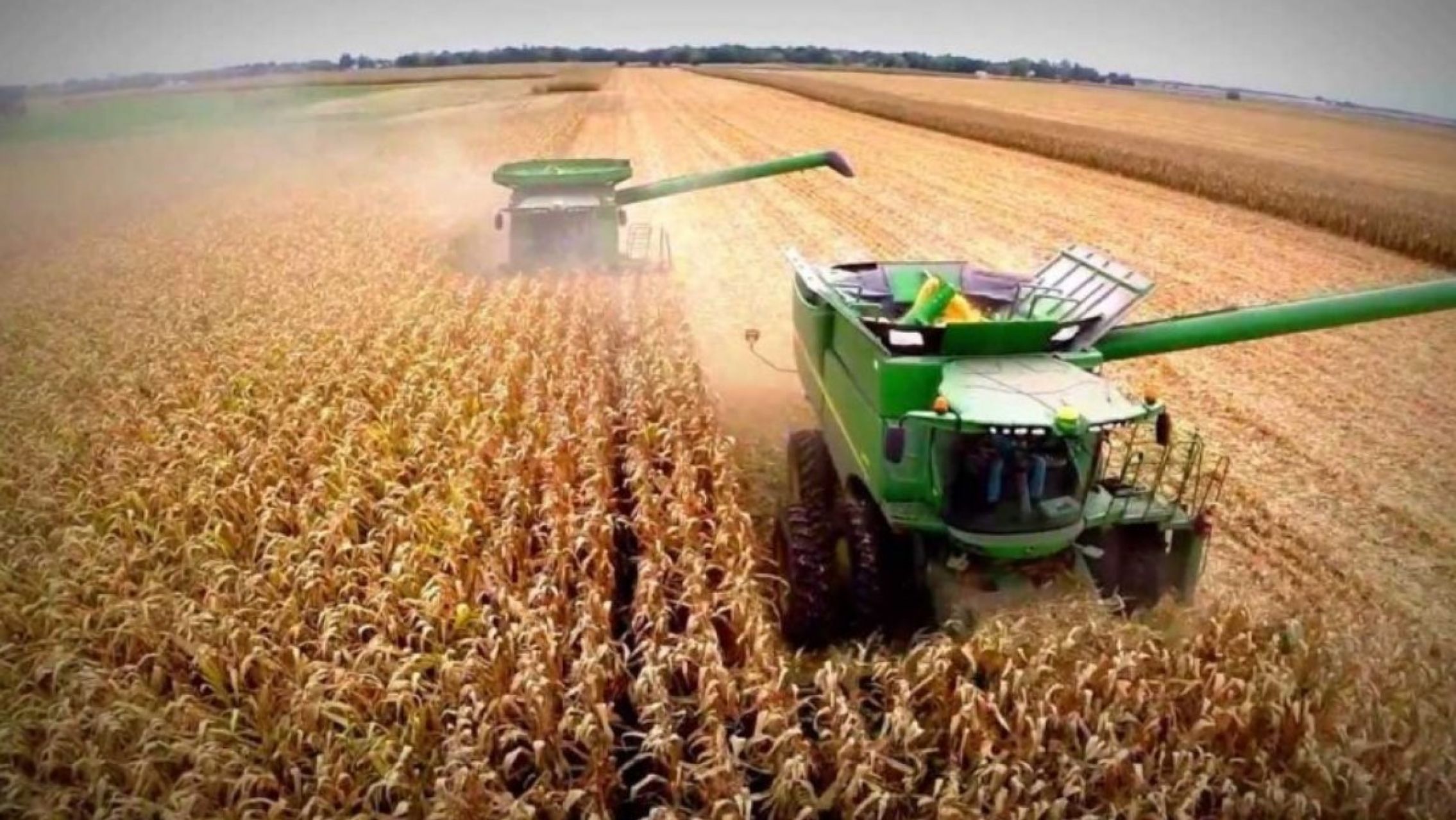 El Gobierno no descarta subir las retenciones del campo