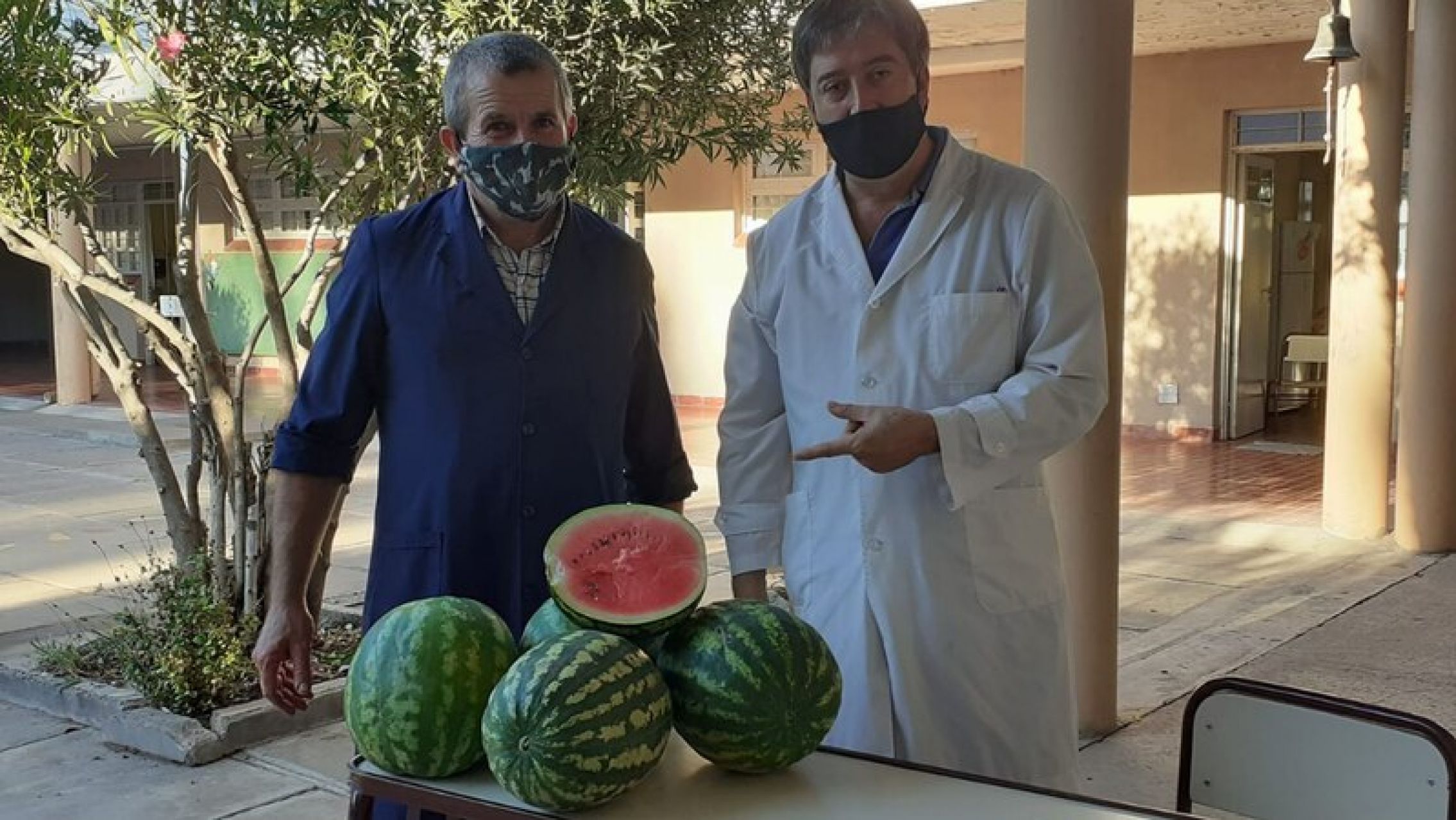 Una escuela vende sandías de su huerta para poder pagar insumos