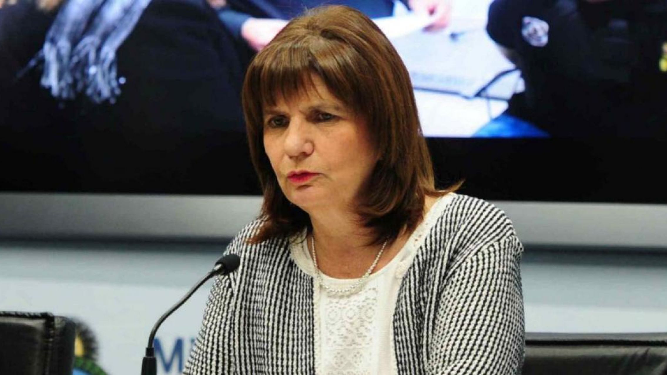 Patricia Bullrich pidió crear un movimiento "anti- tomas" de tierras