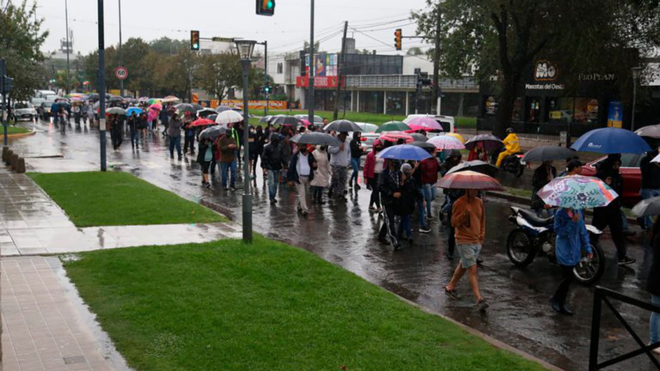 Gran convocatoria de vecinos de Rosario para pedir la libertad del hombre que atropelló a los dos ladroes