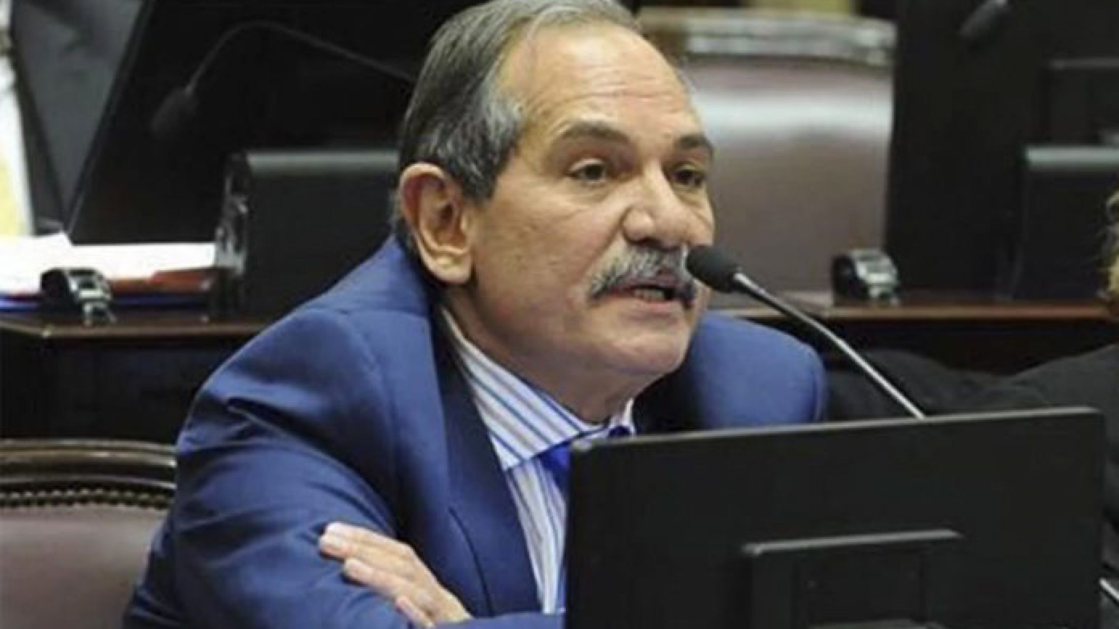 Encontraron 200 vacas robadas en el campo de Alperovich