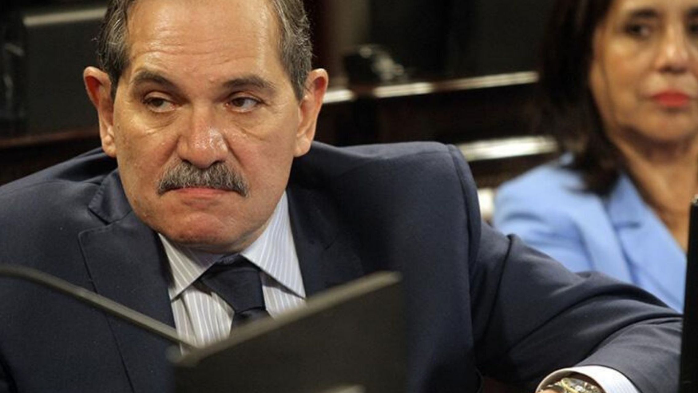 Encontraron más vacas robadas en el campo del senador kirchnerista José Alperovich