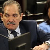 Encontraron más vacas robadas en el campo del senador kirchnerista José Alperovich