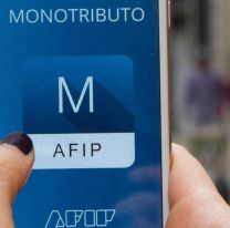 El Gobierno redujo impuestos a monotributistas