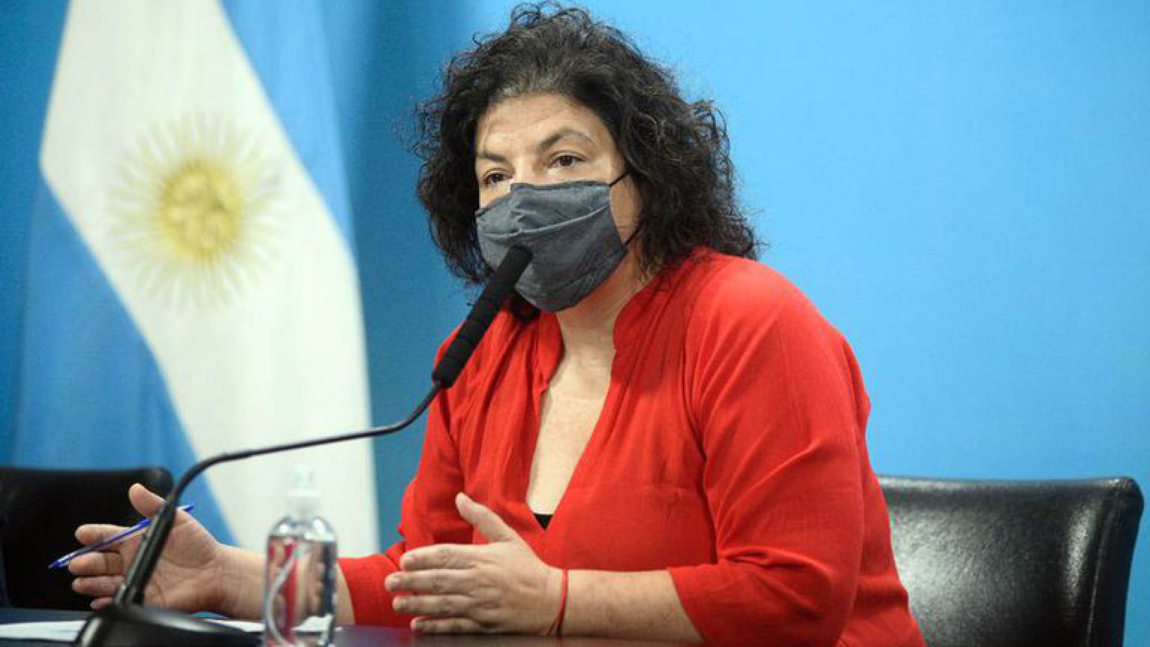Carla Vizzotti habló de los 10 mil penes de madera que compró el Gobierno