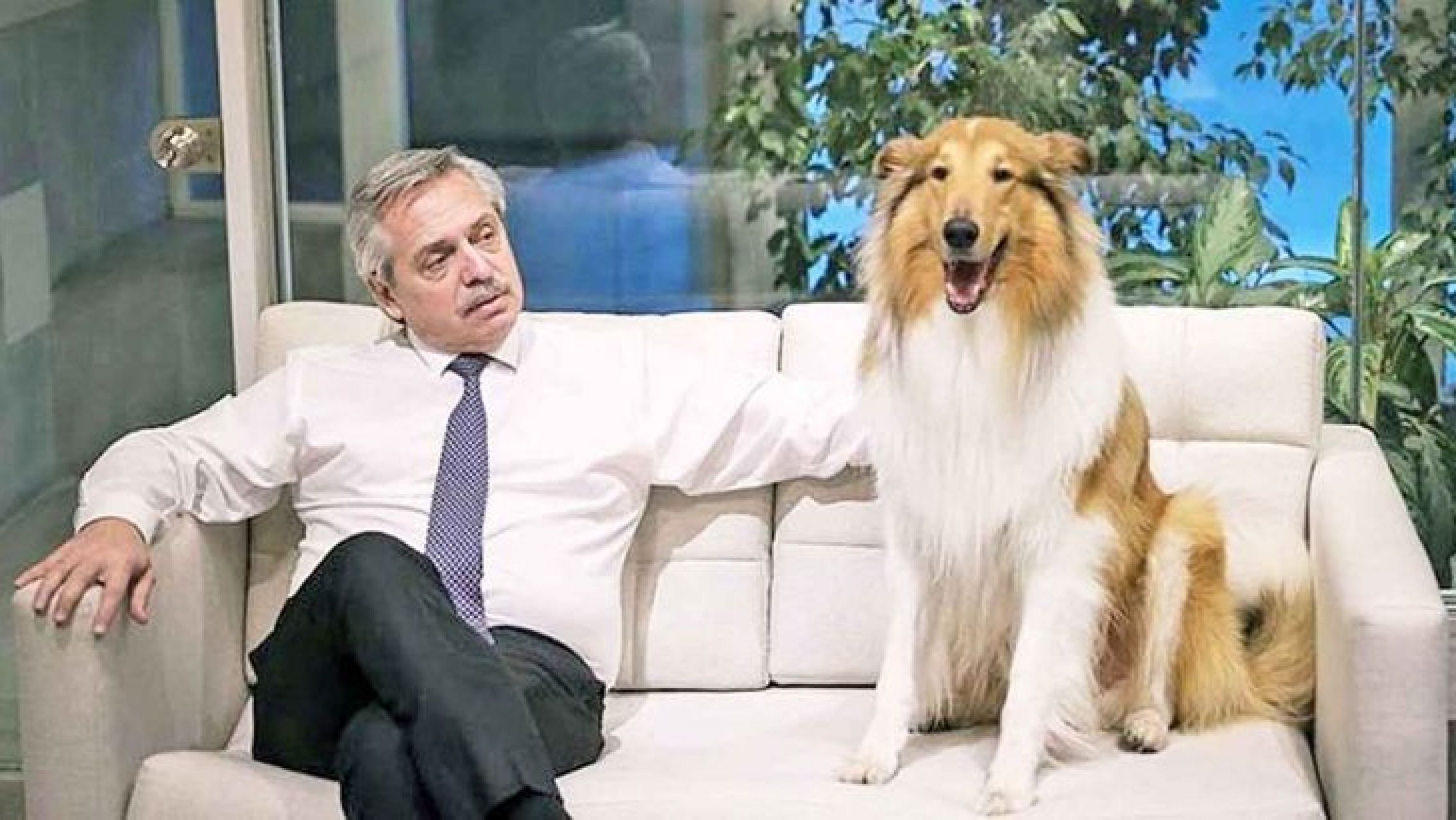 Desde el Instagram de Dylan, el gobierno desmintió la noticia sobre el sueldo del adiestrador