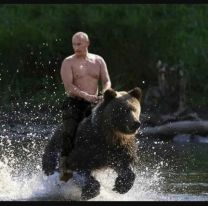 "El oso está amaestrado", aseguró Nelson Castro y generó una ola de memes