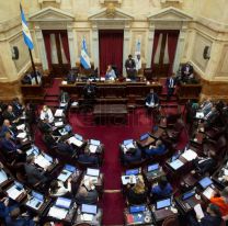 El Senado debate en comisión el proyecto de Boleta Única de Papel