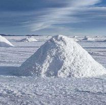 Qué resultados tuvo la nacionalización del litio en Bolivia