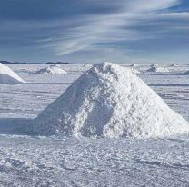 Un grupo automovilístico invierte 90 millones de dólares en el litio argentino