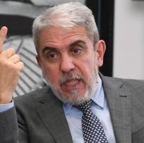 Aníbal Fernández ofreció enviar gendarmes al sur para tratar "el tema de los mapuches"