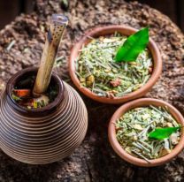 ¿Le ponés burro al mate? Enterate para qué sirve