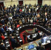 Diputados convirtió en ley el desarrollo del cannabis medicinal