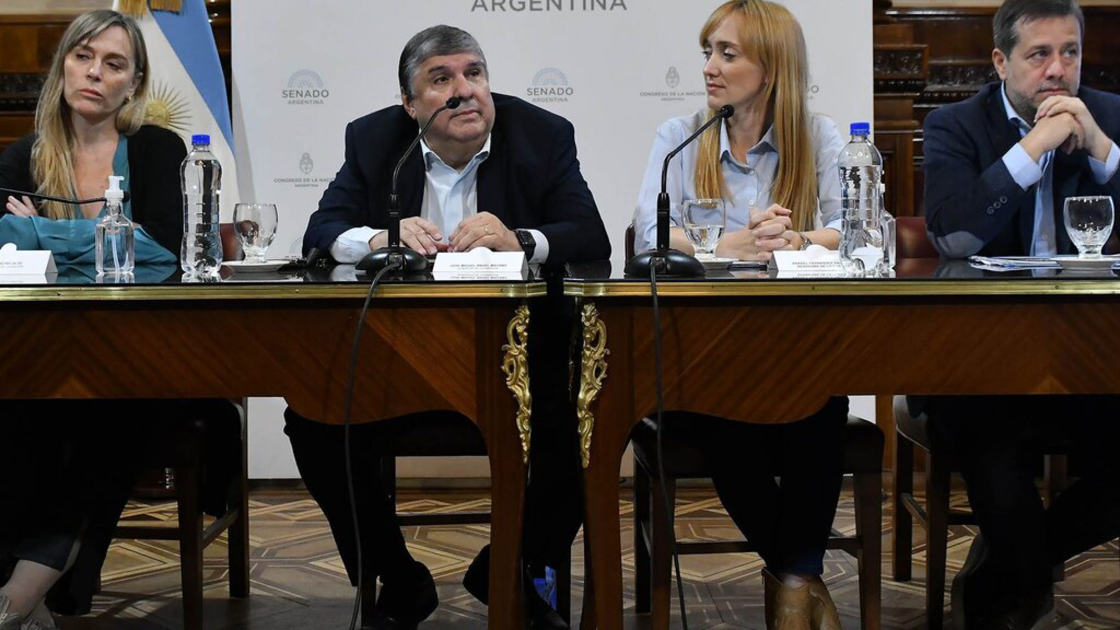 Otro golpe a Guzmán: senadores K presentaron una nueva moratoria previsional