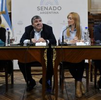 Otro golpe a Guzmán: senadores K presentaron una nueva moratoria previsional