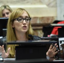 Bochornosa pelea en el Senado por la ocupación de bancas: "¿Qué sigue, asaltar los despachos a la noche?"