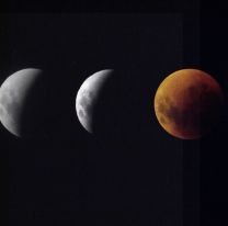 El eclipse total de luna se observó con entusiasmo y curiosidad en casi todo el país